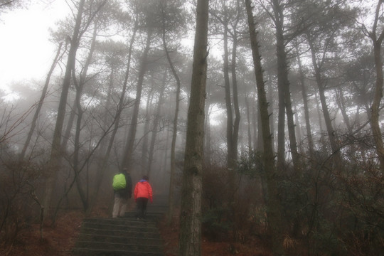 五老峰风景