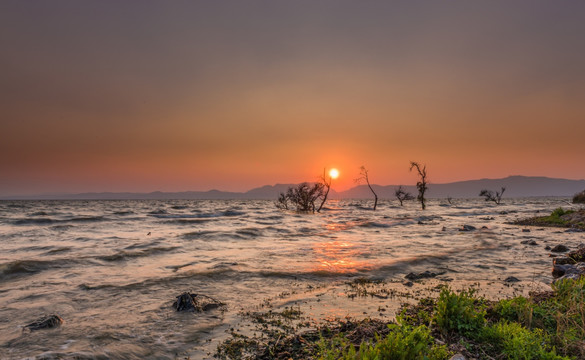 滇池湿地落日