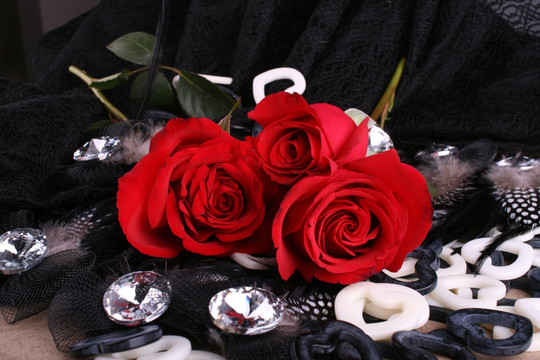 玫瑰组合红色爱情玫瑰