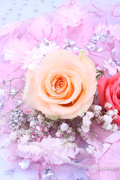 玫瑰花