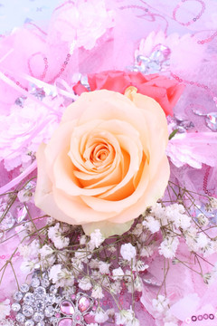 玫瑰花