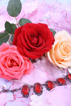 玫瑰花