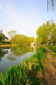 城市公园春天风景