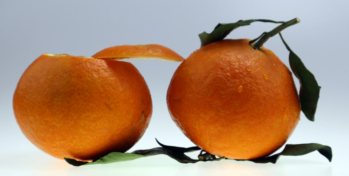 新鲜橙子 橘子 水果