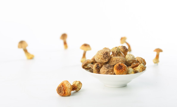 姬松茸 蘑菇 香菇 真菌 食品