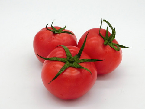 番茄 西红柿