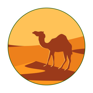沙漠 骆驼 橘色 旅行