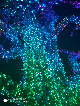 新年彩灯五颜六色中国年树灯素材