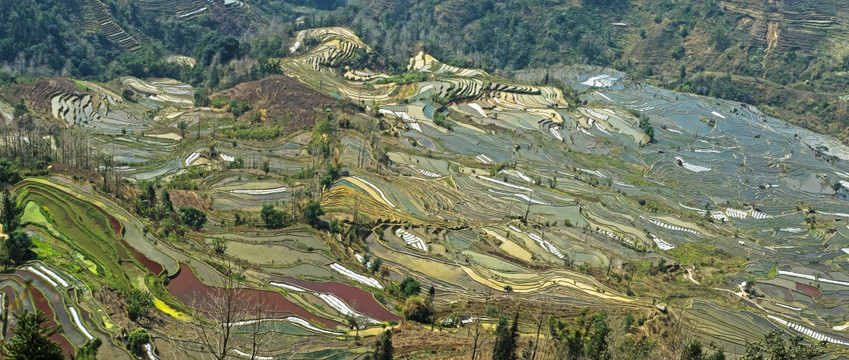 元阳梯田 老虎嘴 大地变奏