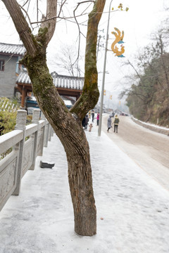 沱江雪景 冰封路面 人行道