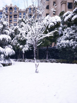 都市花园雪景