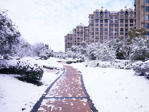 都市花园雪景