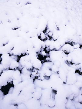 都市花园雪景