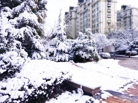 都市花园雪景