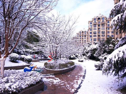 都市花园雪景