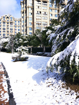 都市花园雪景