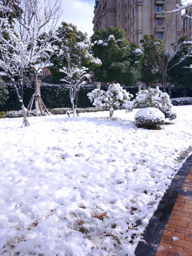 都市花园雪景