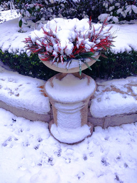 都市花园雪景