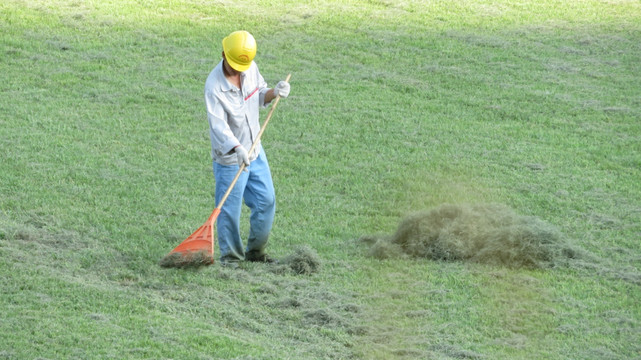 清扫草坪的工人