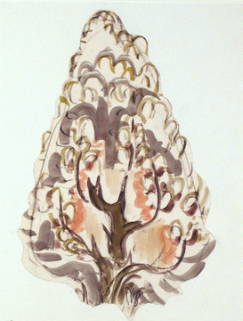 伯奇菲尔德 树木素描画