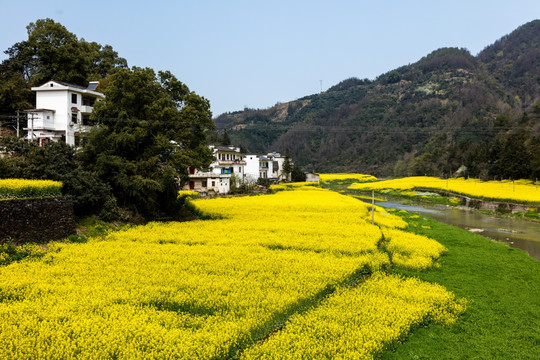 新安江山水画廊风景区