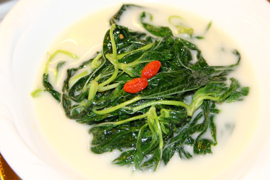 青菜