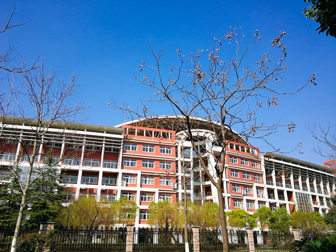 大学城建筑楼