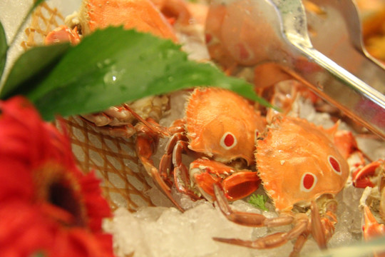大闸蟹