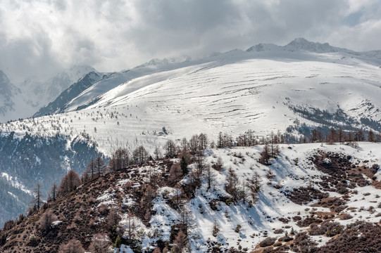 云南德钦白茫雪山