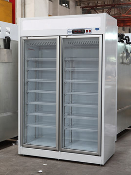 冰柜 冰箱 商用冰箱