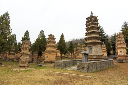 少林寺 塔林