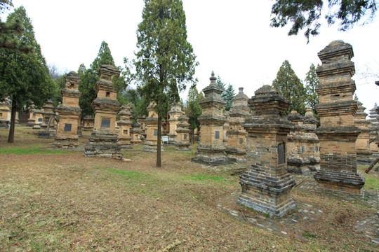 嵩山少林寺 塔林