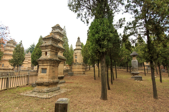 少林寺 塔林