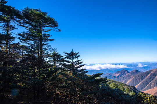 轿子雪山风光