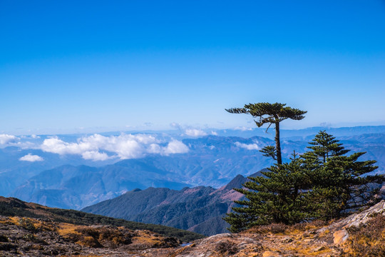 云南轿子山