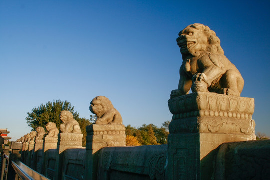 北京卢沟桥石狮子