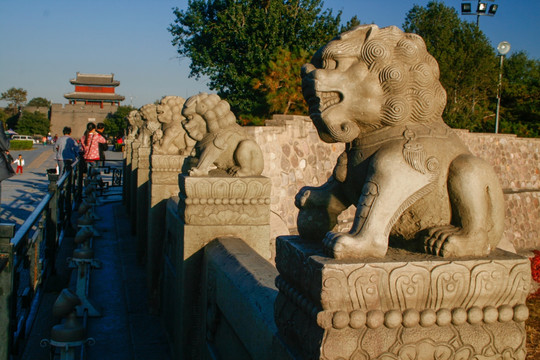 北京卢沟桥石狮子