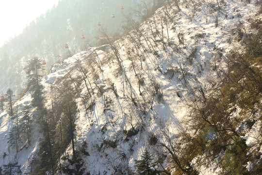 西岭雪山 索道 高山森林积雪