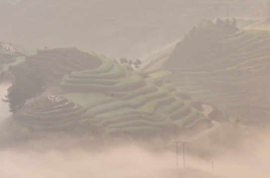 高山云雾