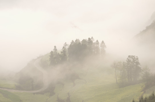 高山云雾