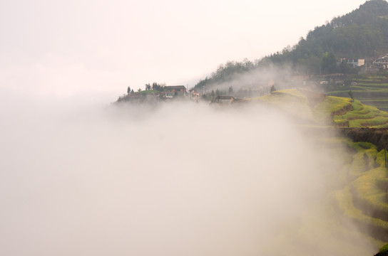 高山云海