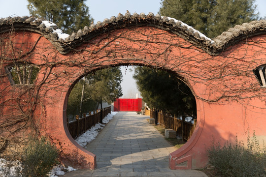 拱形红墙 园林拱门 爬满植物