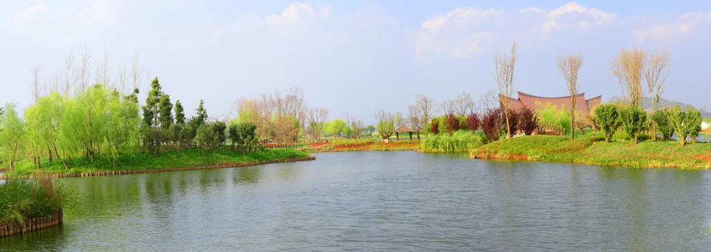 湿地全景图
