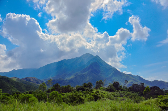 莲花山