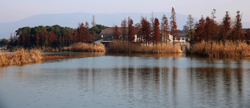 尚湖公园