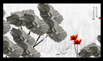 国画荷花