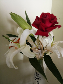 鲜花