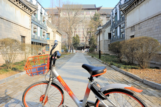 大学校园里的共享单车