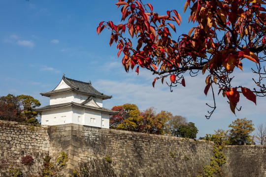 日本大阪城