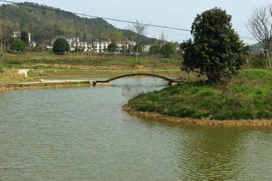 湿地 湿地公园